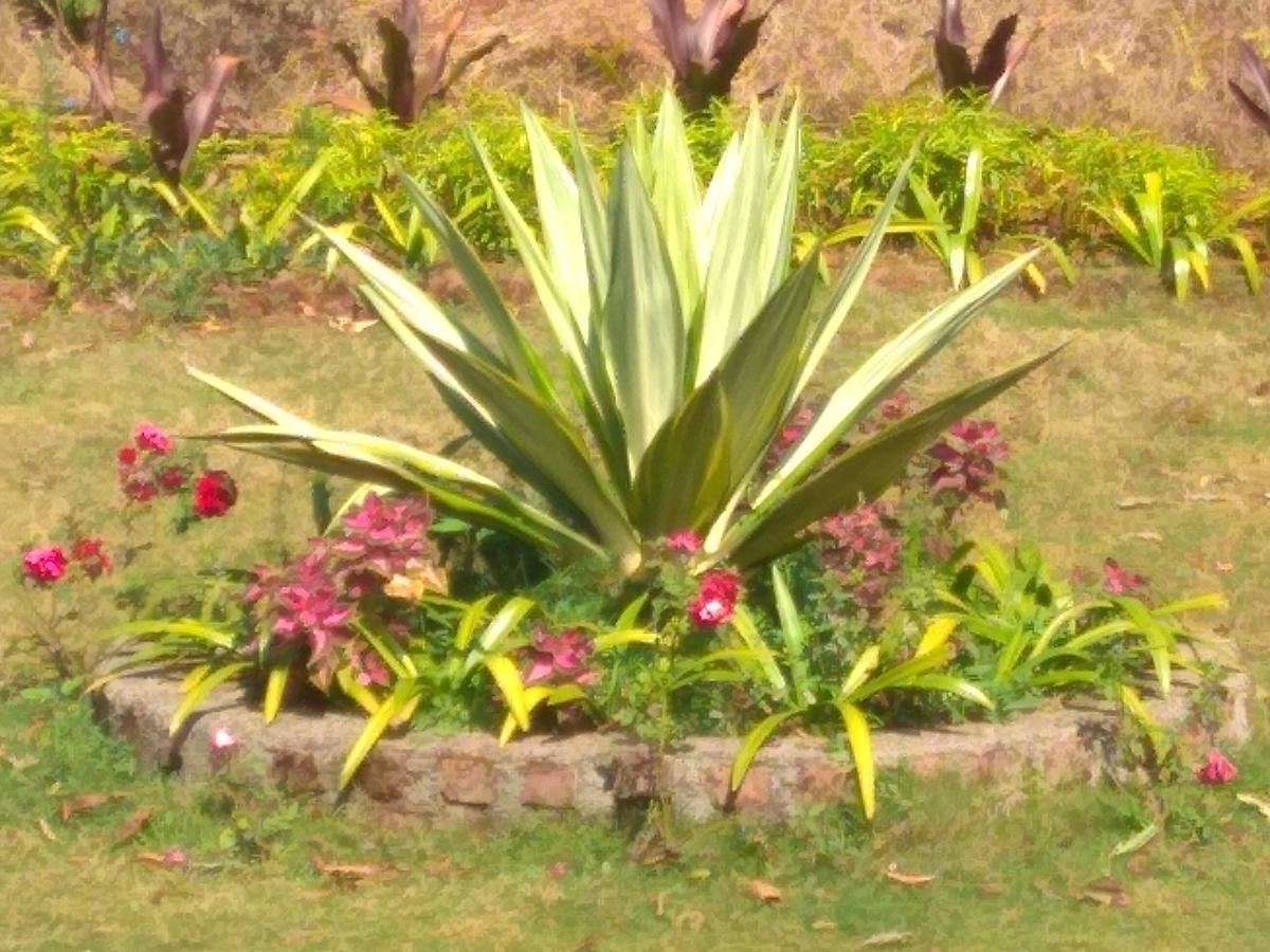 Sadgurukrupa Villa Mahableshwar Mahābaleshwar Kültér fotó